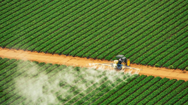 Professional Pest Control in Columbia, TN