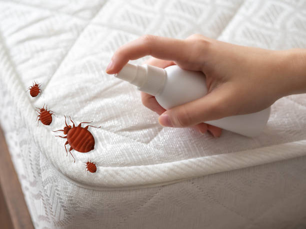 Best Bed Bug Extermination  in Columbia, TN