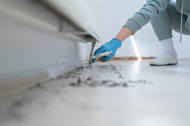 Best Pest Removal Services  in Columbia, TN